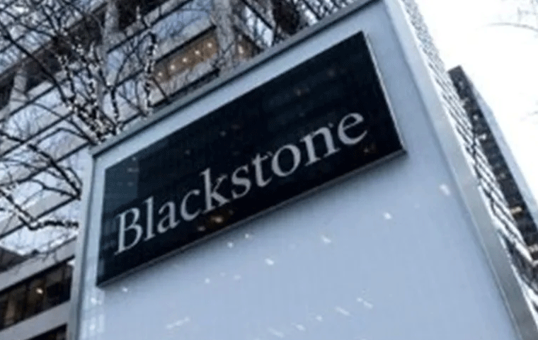 Blackstone'un kârı beklentileri karşılamadı