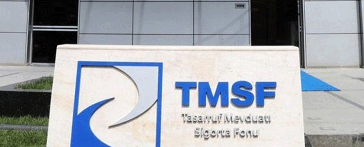 TMSF, Naksan ve Royal Halı'nın fabrikasını satıyor