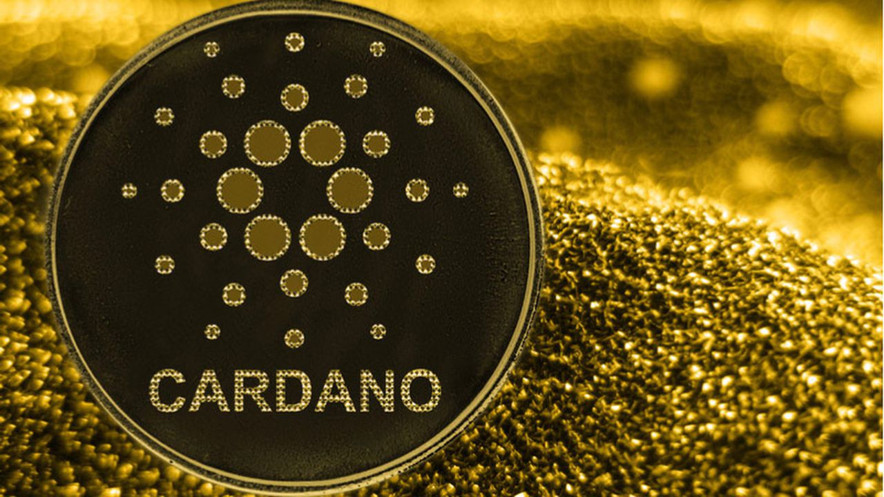 Cardano, tüm zamanların en yüksek seviyesini gördü