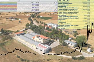 Borsa şirketlerini tanıyalım: Acıpayam Selüloz