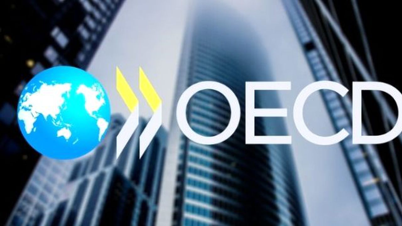 OECD’den G20 ülkelerine sevindirici haber