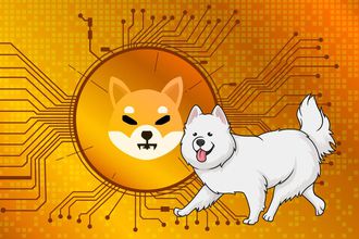 Herkes Shiba'yı konuşurken bu coinler Shiba'yı da katladı