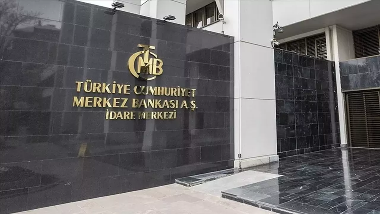 Merkez Bankası, sterilizasyona odaklandı