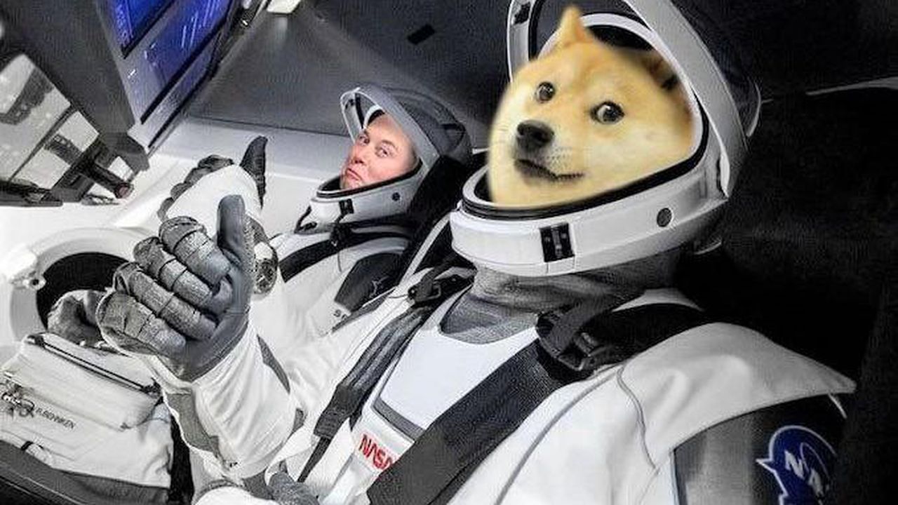 Yine Elon Musk yine manipülasyon! Daddy Doge dedi, coin uçtu