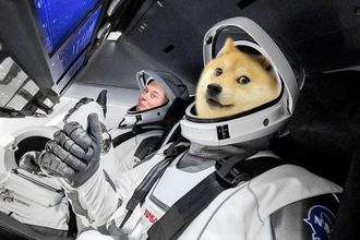 Yine Elon Musk yine manipülasyon! Daddy Doge dedi, coin uçtu