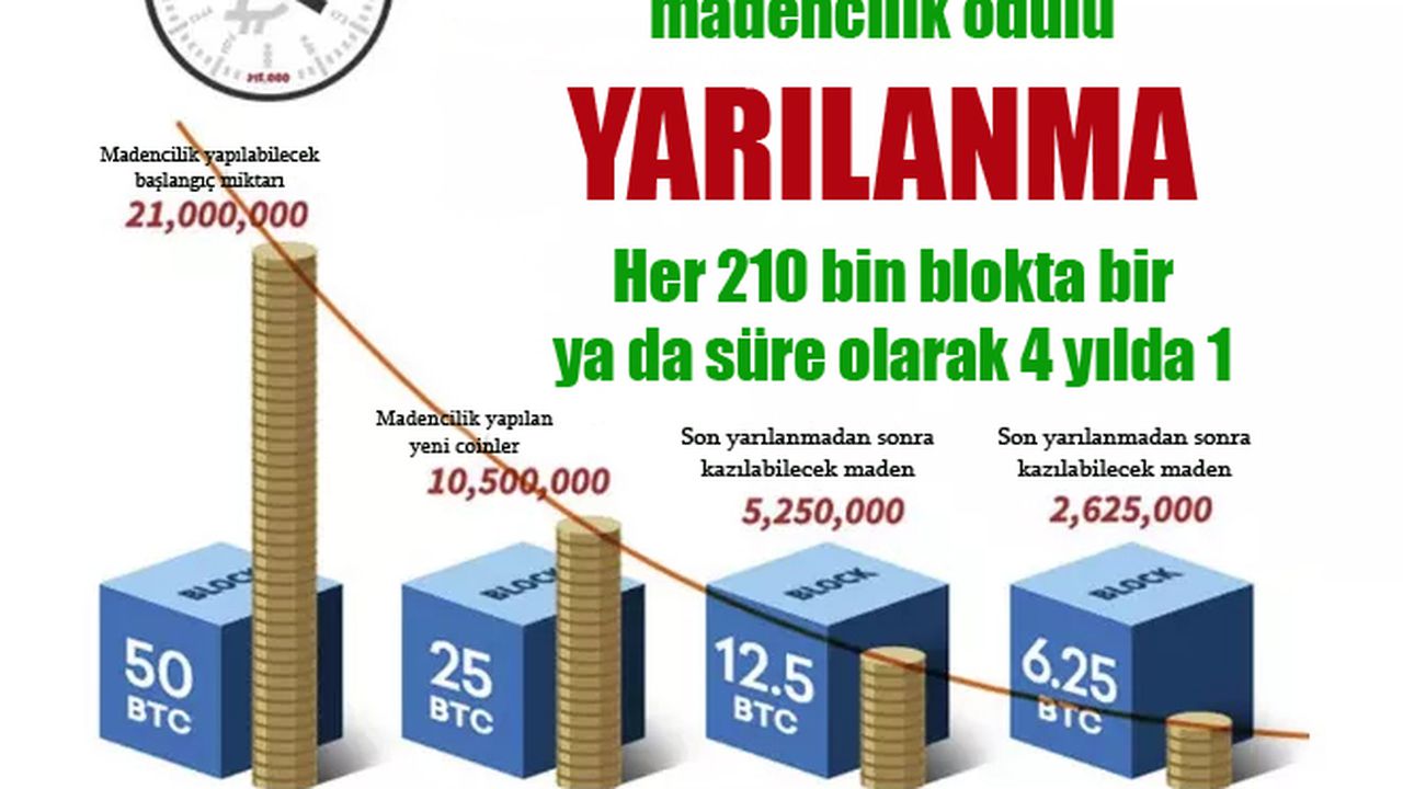 21 milyon Bitcoin'in tamamı çıkarılınca ne olacak? Halvinglerin sonucusu...